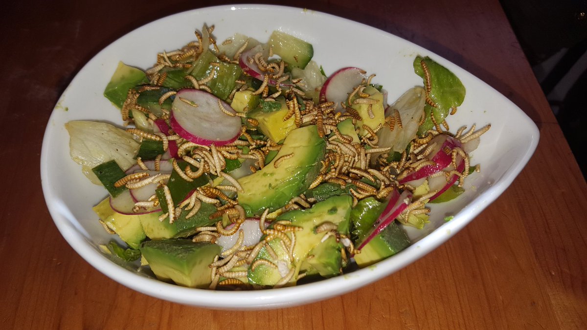 bugsenzo's tweet photo. What a great way to start your day! Salad with avocado and roasted buffalo-worms :) #edibleinsects #proteins #tasty #bugalicious https://t.co/qMj3IeK5Np