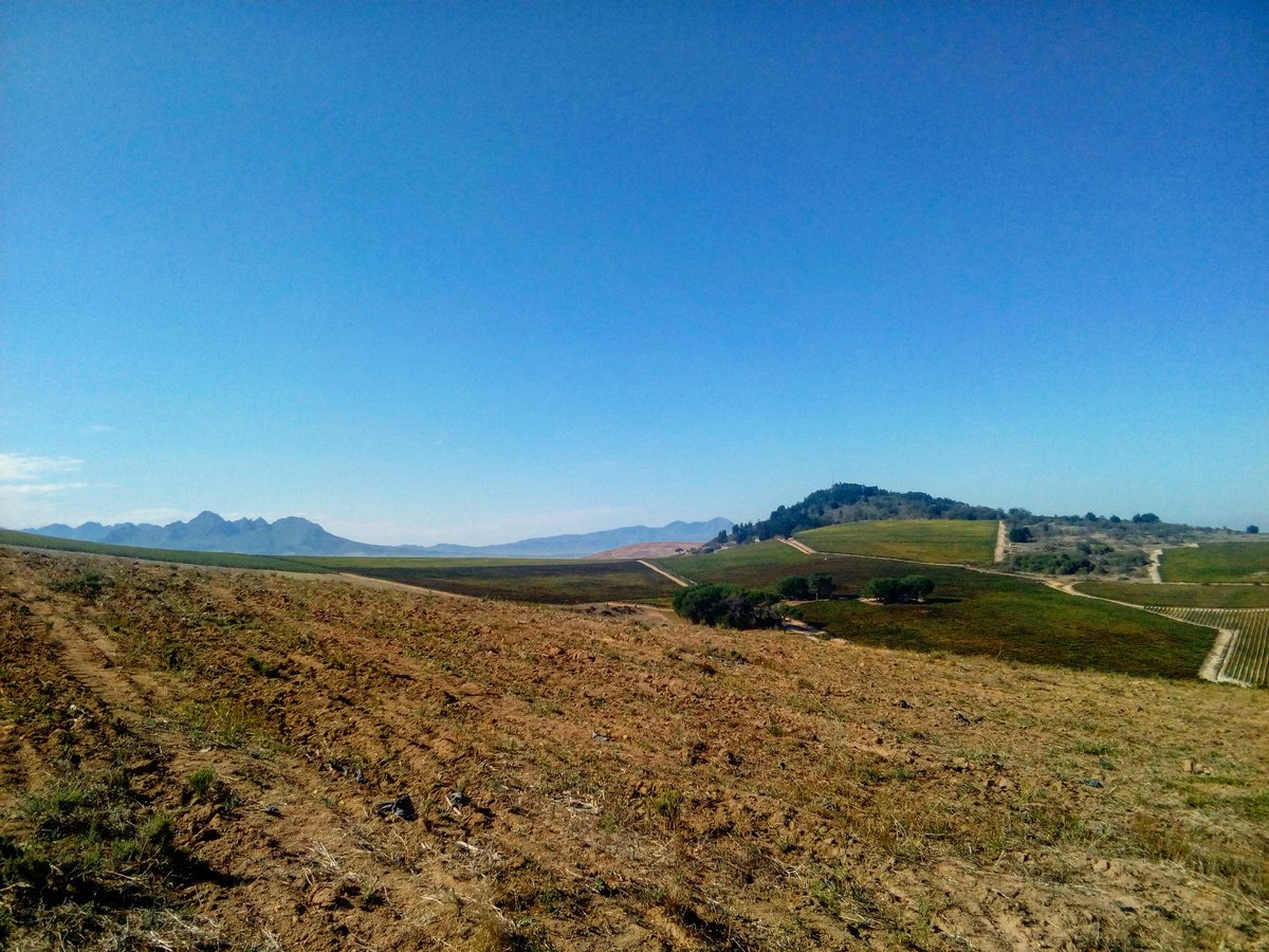 AmyAMilford's tweet photo. RT @Stala_1 Stala_1: Phew hot as hell trail run done. #selfie #agirlandherdog #trailrunning #omtom2017 #jmc https://t.co/awd1cuSx6n #amytr…