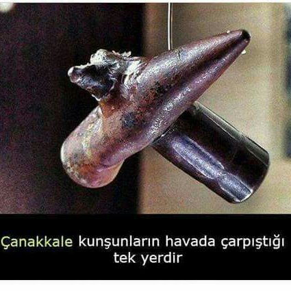 aygulmithat's tweet photo. #YeniProfilResmi https://t.co/eP4zIwYIWH