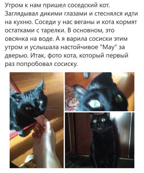 C7brU5JXwAAzoal.jpg