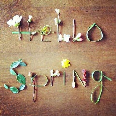 de3en3murcia's tweet photo. Ven a recibir a la #Primavera como dios manda ....Café y muy buenos días #Gastronomia #Color #Murcia #Sol #ATapear #Gourmets #Soyde3 https://t.co/wgfMgExoUU