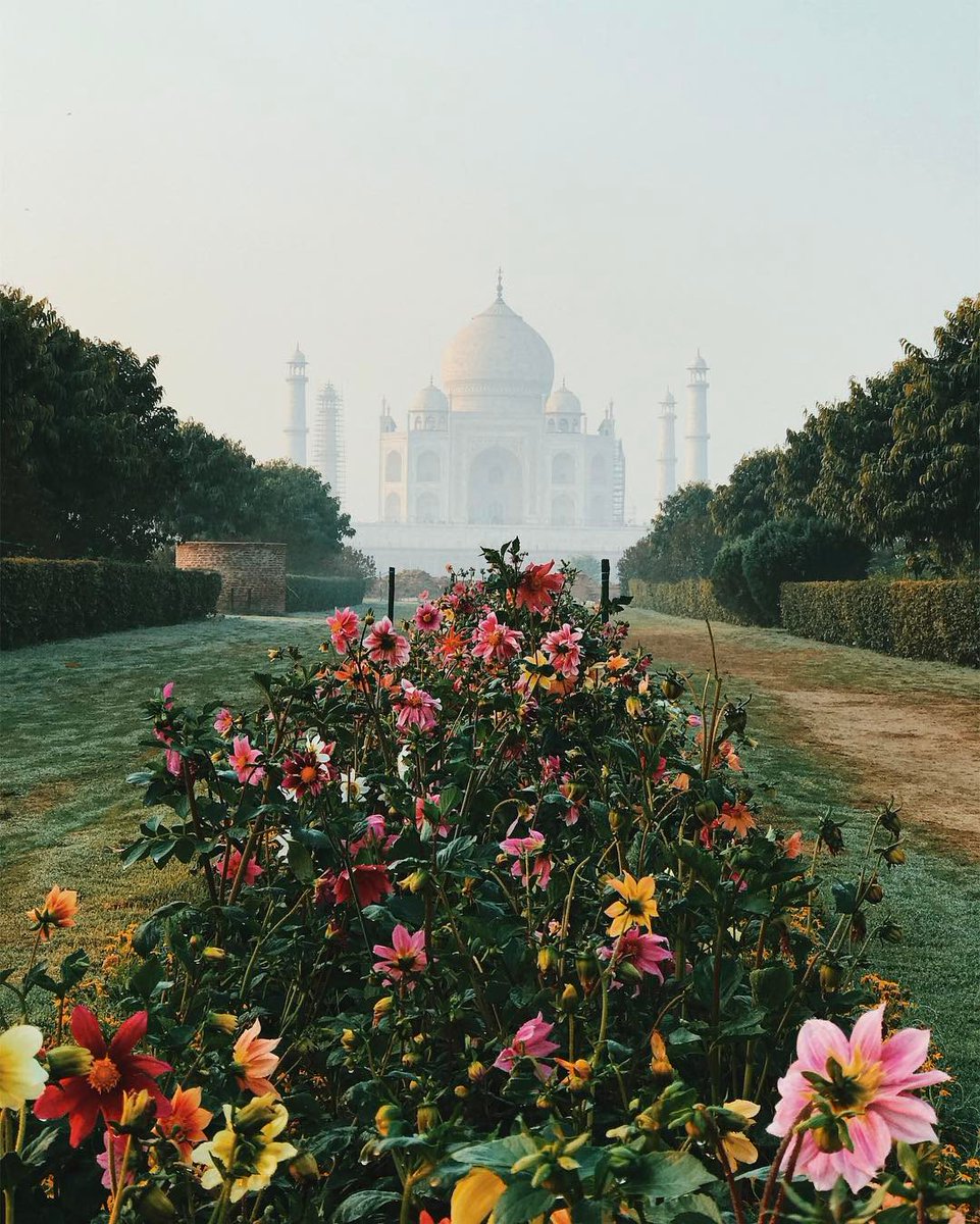 11 buildings in bloom this spring spacesm.ag/1VDTNM