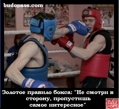 budopass.com