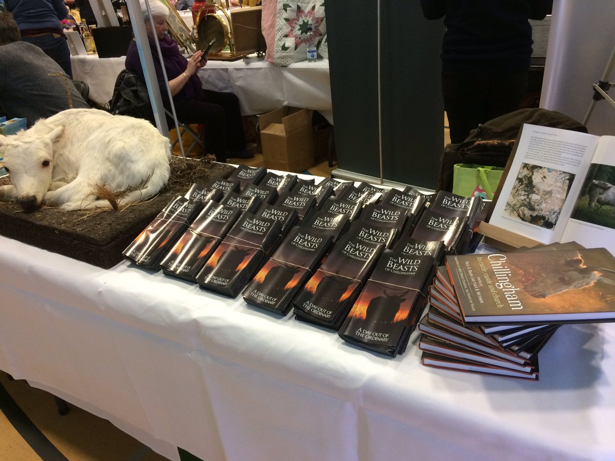 Chillingham Cattle🐮 tweet media