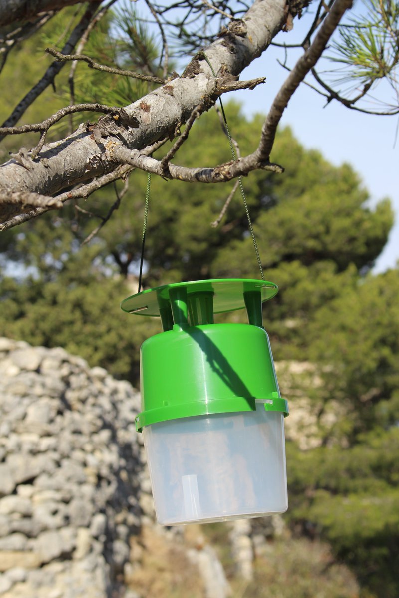 Koppert_France's tweet photo. C'est le printemps, saison du #piégeage par excellence ! Mot d'ordre #DETECTER. Nouvelles vidéos de montage des pièges sur Youtube KFR https://t.co/d0lf3LXqA0