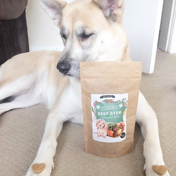 TopCollar's tweet photo. We love @bellahuskyboxer 💖 (and think she loves our treats too ☺) https://t.co/SvshFRAX7C https://t.co/1RAIgroQUX