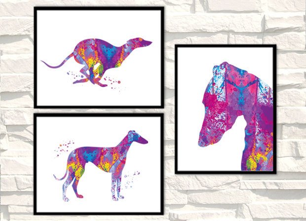 Set 3 prints Greyhound Dog Watercolor Print GreyHound Painting Dog poster- tinyurl.com/kncdcdz