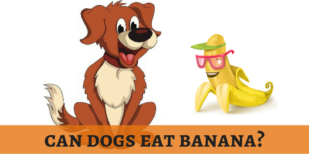 lovedogbabe's tweet photo. Bananas are healthy diet on our cardiac workout. Is it safe for dog's health? Peel off!
https://t.co/qdtcEthYWs
#dogbabe https://t.co/xFlfUkVn9D
