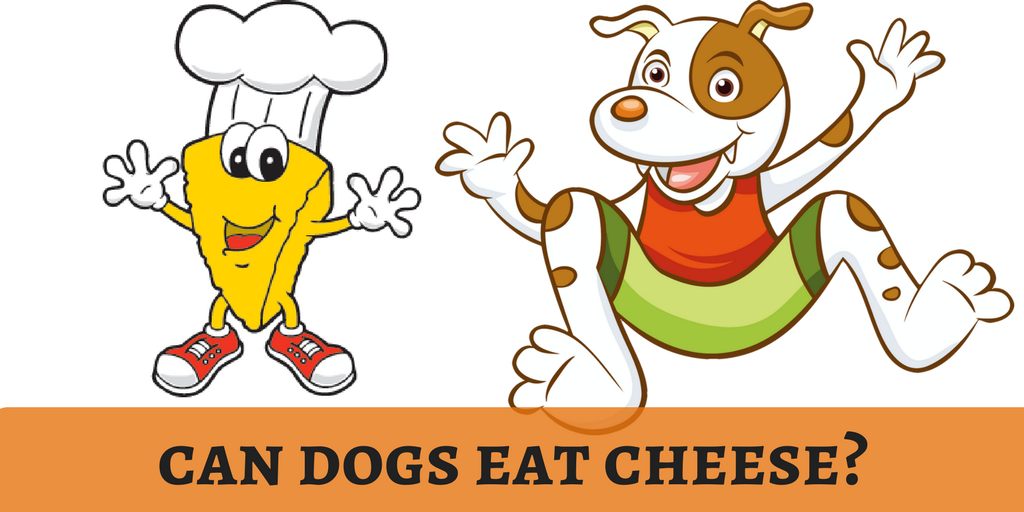 lovedogbabe's tweet photo. Cheese is one of the choosy diets we eat on our breakfast. Choose the cheesy diet for dogs!
https://t.co/FCGoMFk0vN
#dogbabe https://t.co/3BCeY4HYHj