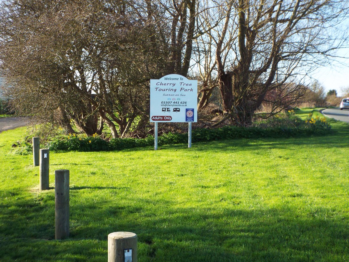 CherryTreeSite's tweet image. Lovely spring sunshine here at the coast - wish you were here?