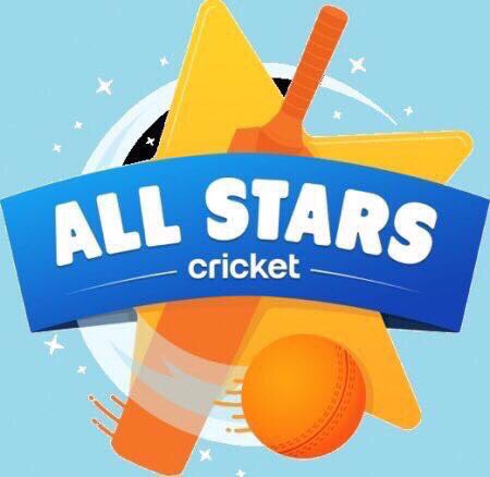 Newbridge Cricket tweet media