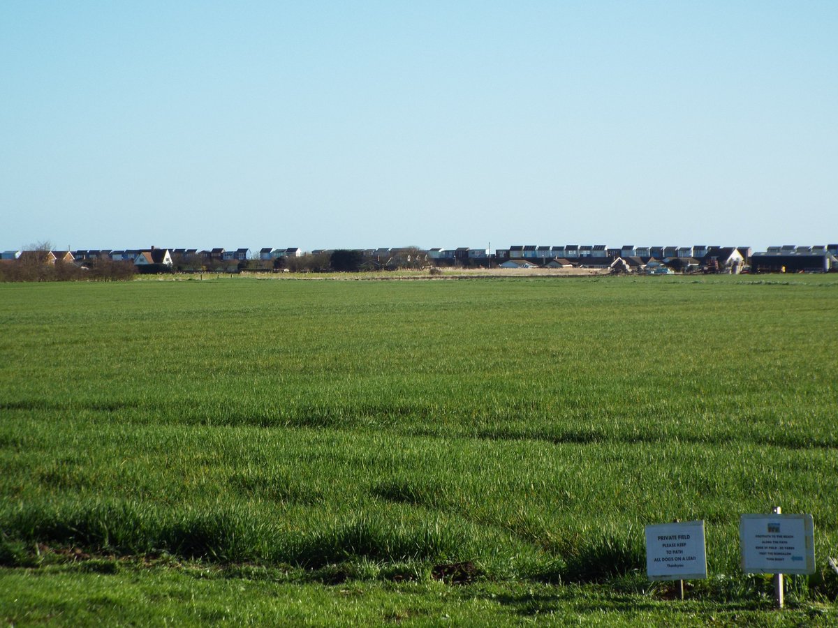 CherryTreeSite's tweet image. Lovely spring sunshine here at the coast - wish you were here?