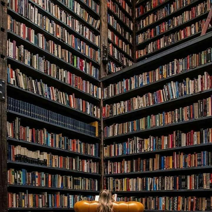 Бронирование книг. Баннер для библиотеки. Куча книг. Человек тянется за книгой. Среди множества книг.