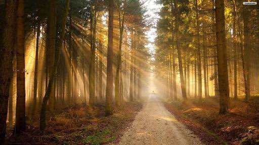 BosmanCarel's tweet photo. Be more joyful when rejected as God has something much bigger &amp; better lined up for you  #LetHimGuideYou https://t.co/Xi9JlRvM7Q