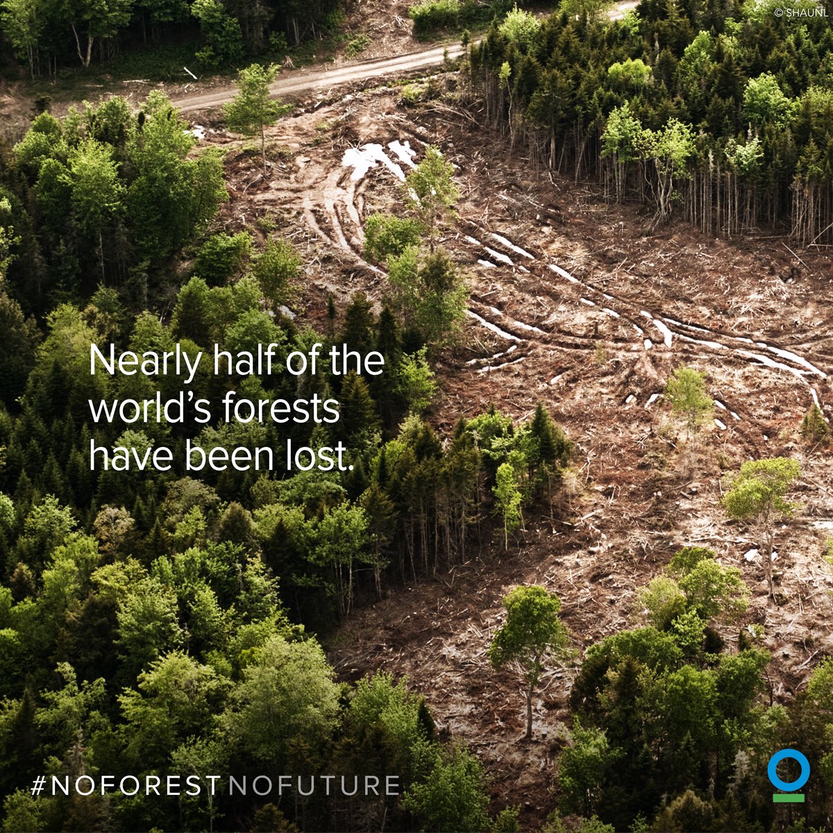 Join me & protect an acre
for #IntlForestsDay
with @ConservationOrg
@SCJohnson will match it
#NoForestsNoFuture
ci-intl.org/2n72LDt