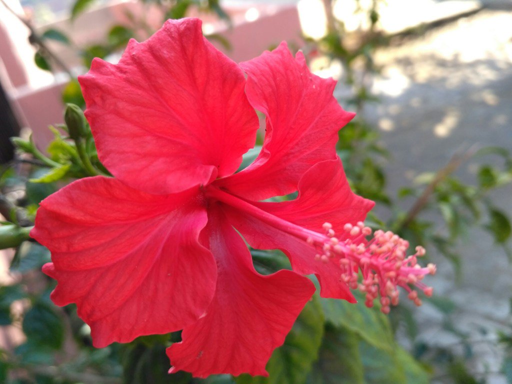 hacktime9's tweet image. Google hacking update9.wordpress.com/2017/03/21/goo…