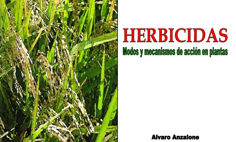 ecogrinca's tweet photo. Guía completa sobre los #herbicidas, sus mecanismos y modo de acción en las plantas. (PDF) https://t.co/XVrDkxp1iL https://t.co/HaEQkQGZyY