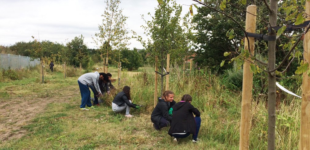 Fancy growing your own community orchard? A <a href="/Tesco/">Tesco</a> #BagsofHelp grant can help you! goo.gl/hz0waE