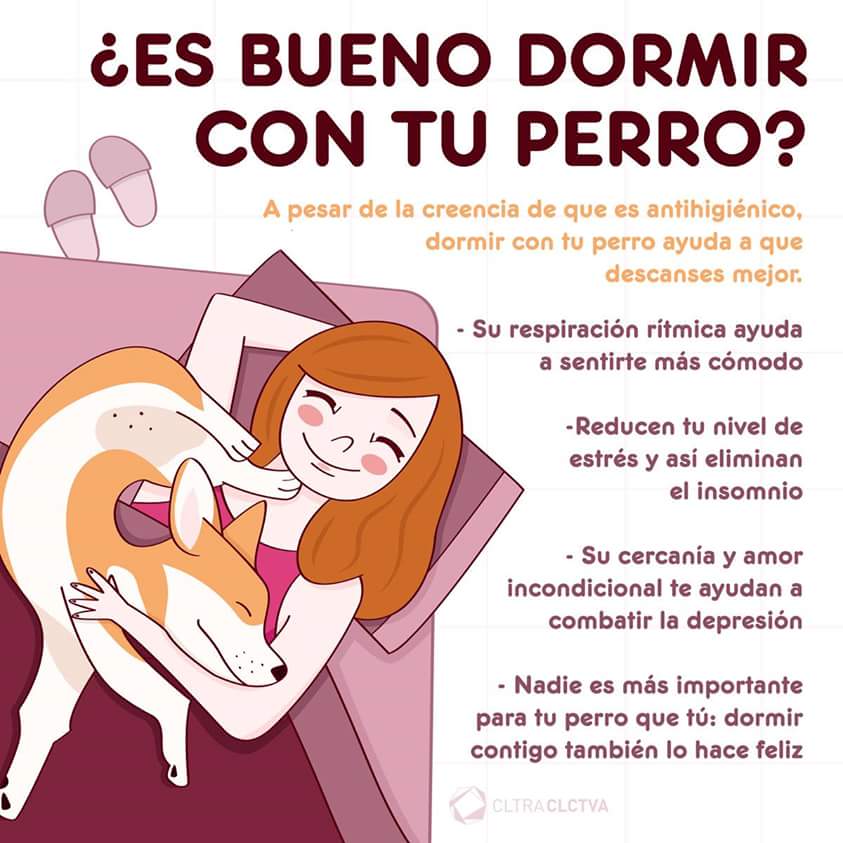 Carmen Terrazas More (@carmente64) on Twitter photo 