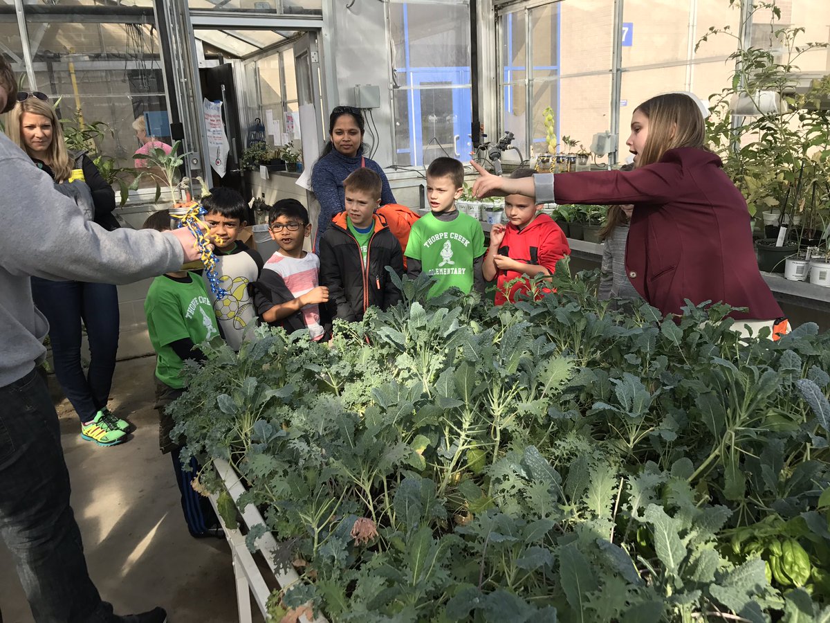 MrsSzafranski's tweet photo. Plants actually CAN grow without soil! Learning so much with @hseffa2! #tcecardinals #hydroponics @HSEHighSchool https://t.co/Ez7xgQJIJM