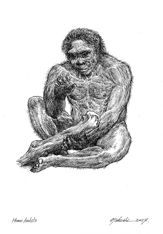 小田 隆 Oda Takashi Ar Twitter ホモ ハビリス Homo Habilis 化石人類 系統樹マンダラ 霊長類マンダラ T Co 9asp6cyhok Twitter 小田 隆 Oda Takashi Ar Twitter ホモ ハビリス Homo Habilis 化石人類 系統樹マンダラ 霊長類マンダラ T Co 9asp6cyhok Twitter