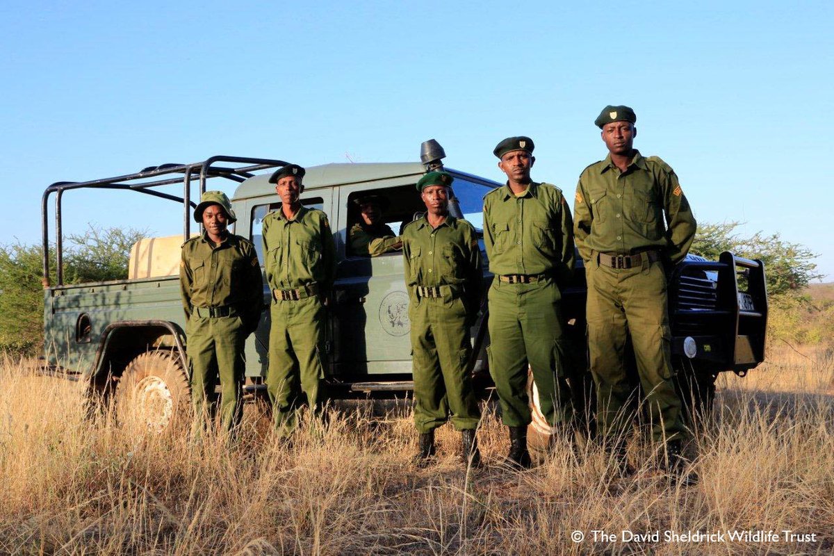 Not all heroes wear capes...

thedswt.org/antipoaching