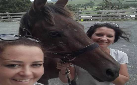 Indo_LIFE's tweet photo. Missing pony swept away in floods miraculously finds own way home https://t.co/0GZNq3snjV https://t.co/C9Tyd6s1wn