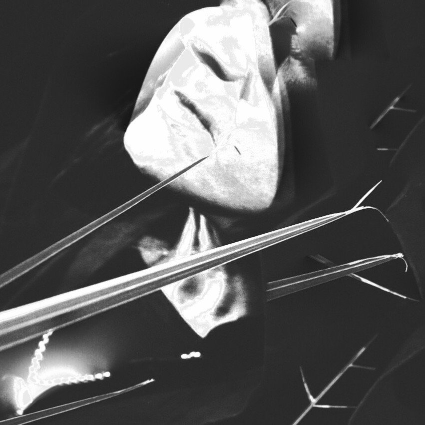 From NIN to NOCT: Guitarist Robin Finck on composing for video games lacedwithwax.com/from-nin-to-no… #vgm <a href="/noctgame/">Noct</a> <a href="/c3sk/">c3sk</a> <a href="/nineinchnails/">nine inch nails</a>