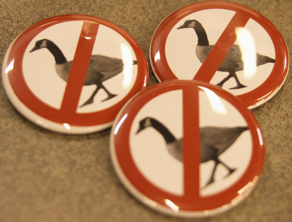 ColGateway's tweet image. Will thy coveted 🚫geese pin go first? Retweet-eth thy post and a pin you could win! #ColGpincontest