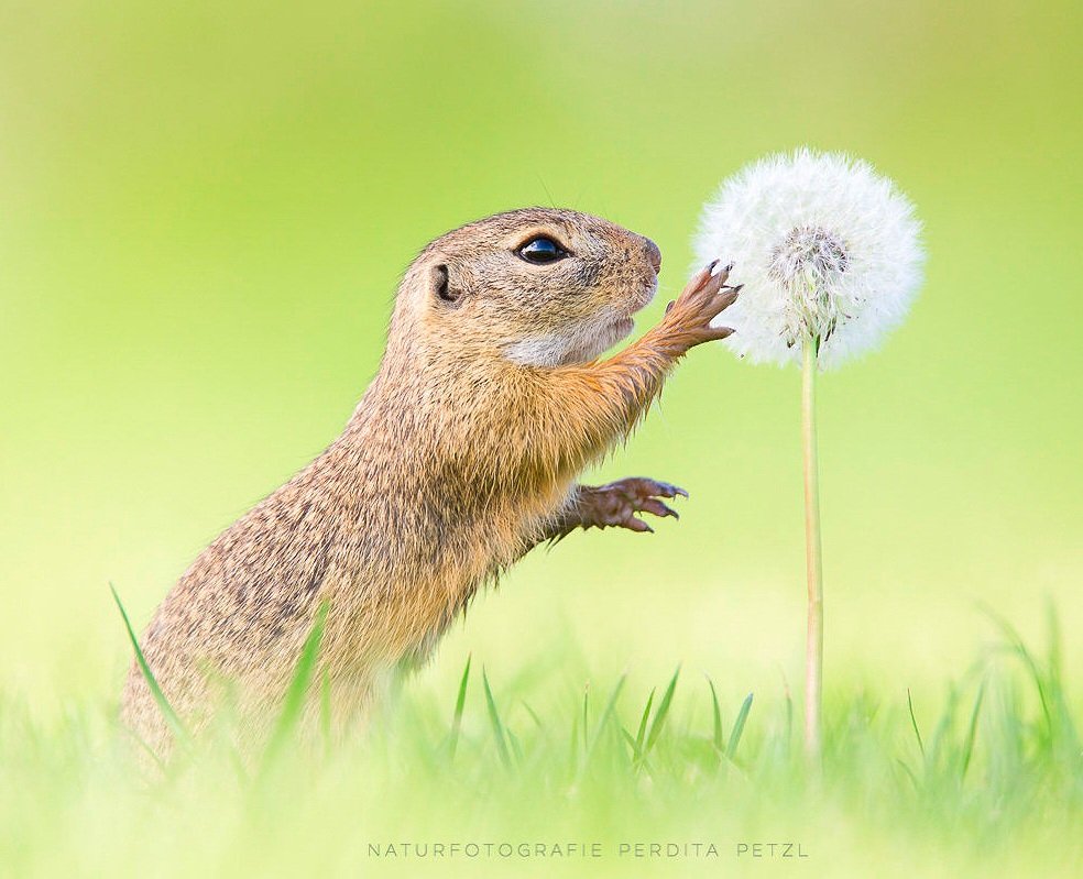 DigamSays's tweet photo. Life is Beautiful. 
A minute u r spending will nt come again in ur Entire Life.
Njoy little things &amp; please Smile more often
📷~Perdita Petzl https://t.co/hc1hdQbVBN