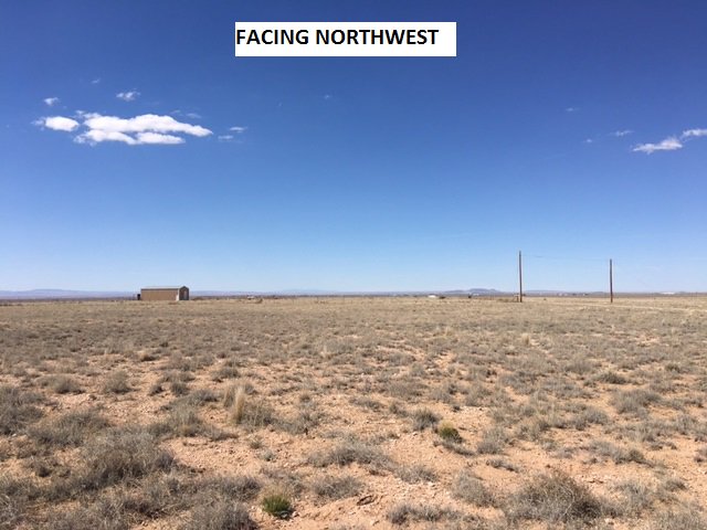 LandSourcePro's tweet image. NEW 5 Acre Lot for Sale!! Tierra Grande Subd. in New Mexico!
ONLY $4,995!! Electric at the Lot!!
landsource.org/5-acres---1017…
