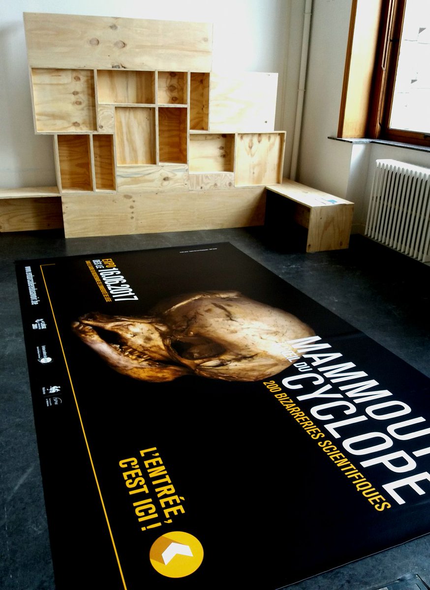 ExitStudioBe's tweet image. Parce qu'EXIT Studio, c'est aussi un service de photographie avec de chouettes collaborations ! #EmbarcadèreDuSavoir #Expo #200bizzareries