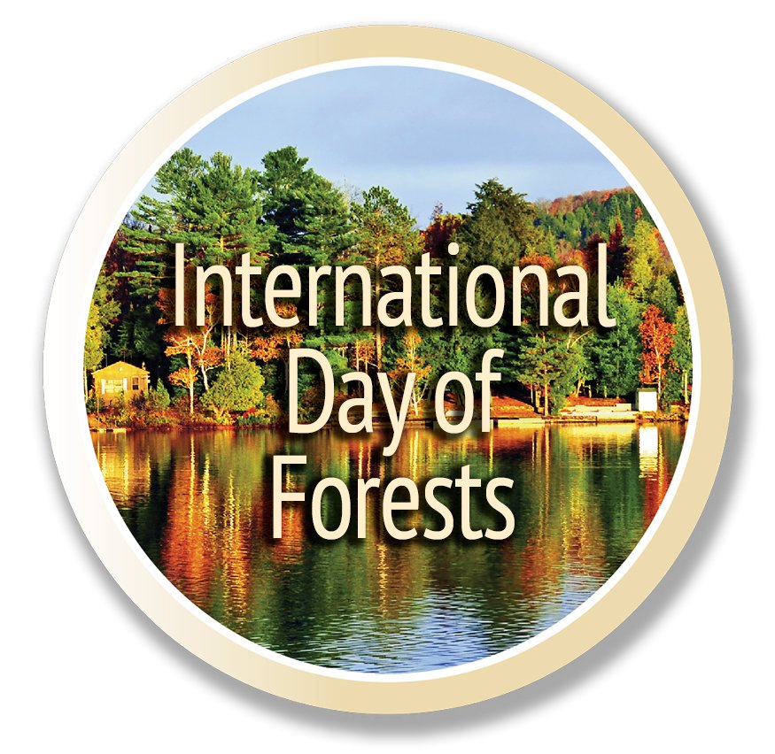 AdamRogers2030's tweet photo. Happy International Day of #Forests! Celebrate by learning more about Canada’s many... https://t.co/gC248WddS3 by #environmentca https://t.co/OKq1oknpq4