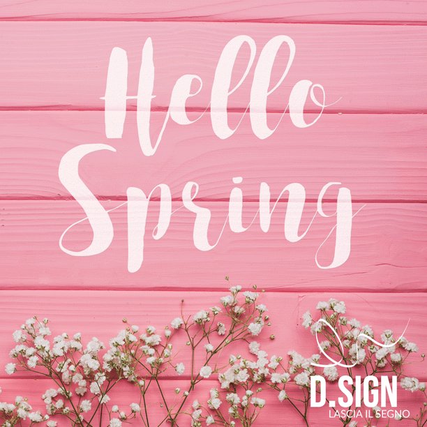 leavethesign's tweet photo. Benvenuta primavera!
Designer restate connessi: sorprese floreali in arrivo a breve! https://t.co/ELzPYacvfj