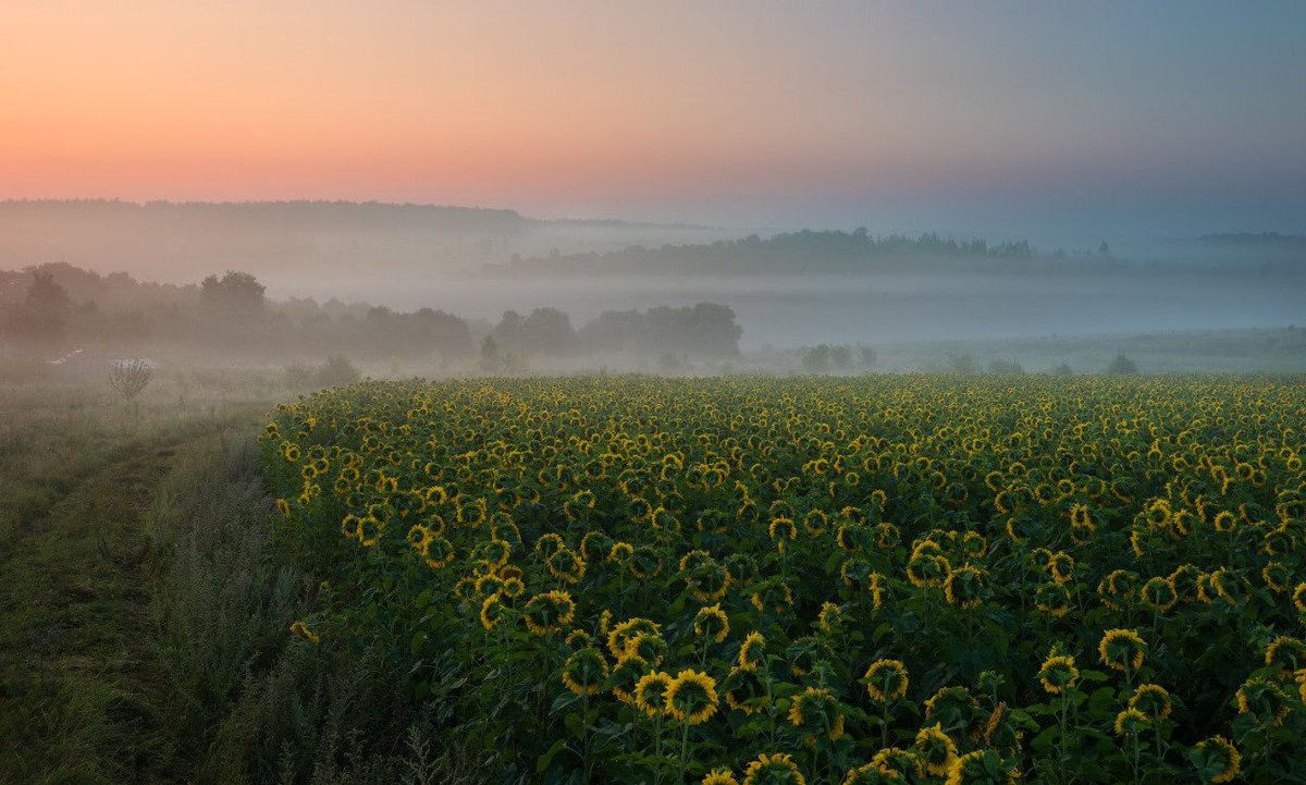 Blankedposts's tweet image. eternal peace:)