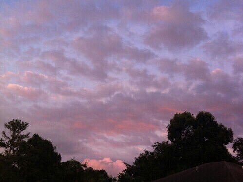 Blankedposts's tweet image. deep purple skies.