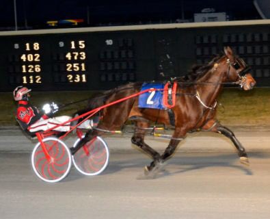 vnssa926's tweet photo. Stay In Your Place completes a double https://t.co/2BDEX9yPW7 @WiggleTakeover @hoosiernations @musicalhossgal @kimberlymoier @rebelsart https://t.co/jIYj9i3eLp