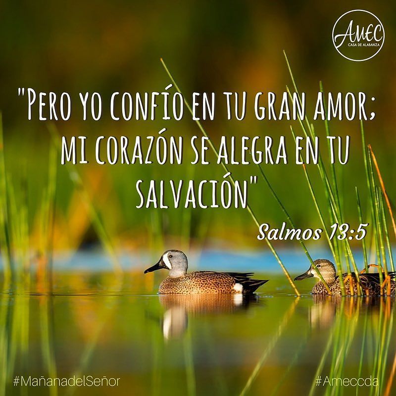 Uživatel Iglesia AMEC CDA na Twitteru: „#MañanadelSeñor #Ameccda ...