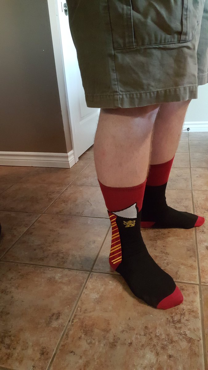 Gryffindor socks for World-Down-Syndrome-Day.  #SeeTheAbility
