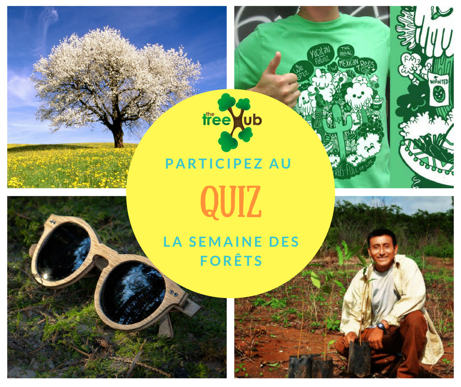 TheTreeHub's tweet image. FORESTS DAY!
Que savez-vous sur les forêts?
What do you know about forests? 
¿Qué sabes acerca de los bosques?
thetreehub.com/campagnes-196/…