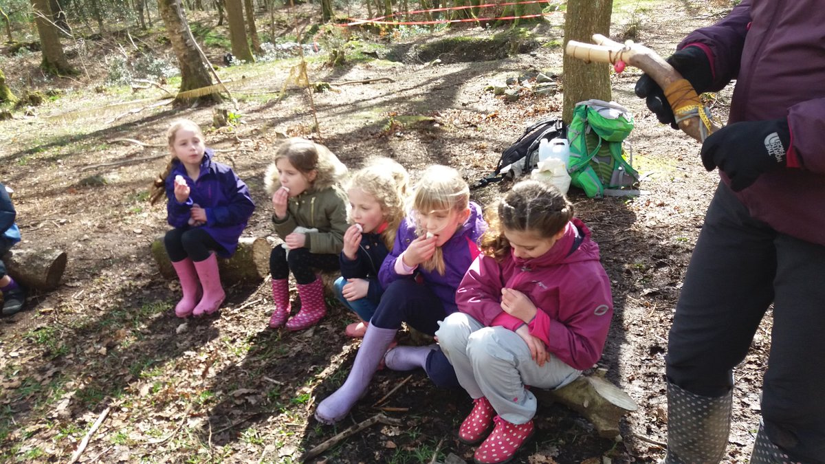stmarysulv's tweet photo. Music making and marshmallows in the forest @PlayfulNature https://t.co/UVCCaRPDg1