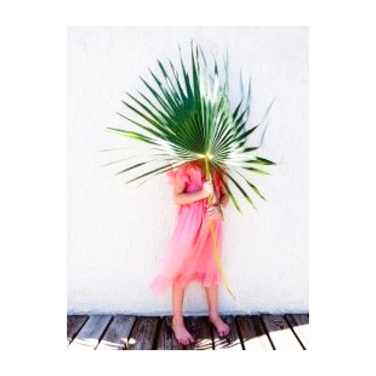 MCBeautyDrawer's tweet photo. By far our favourite way to cover up a spot 🌿 #PowderPlant https://t.co/Gf5Tl9mfa1
