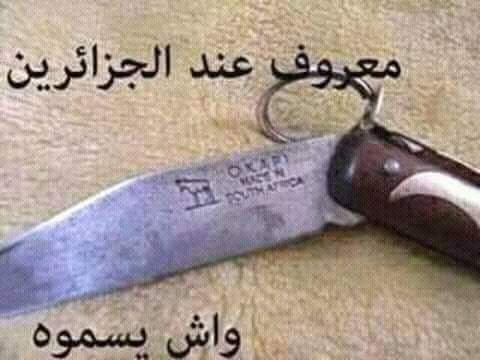 Reda Zargo (@redazargo) on Twitter photo 