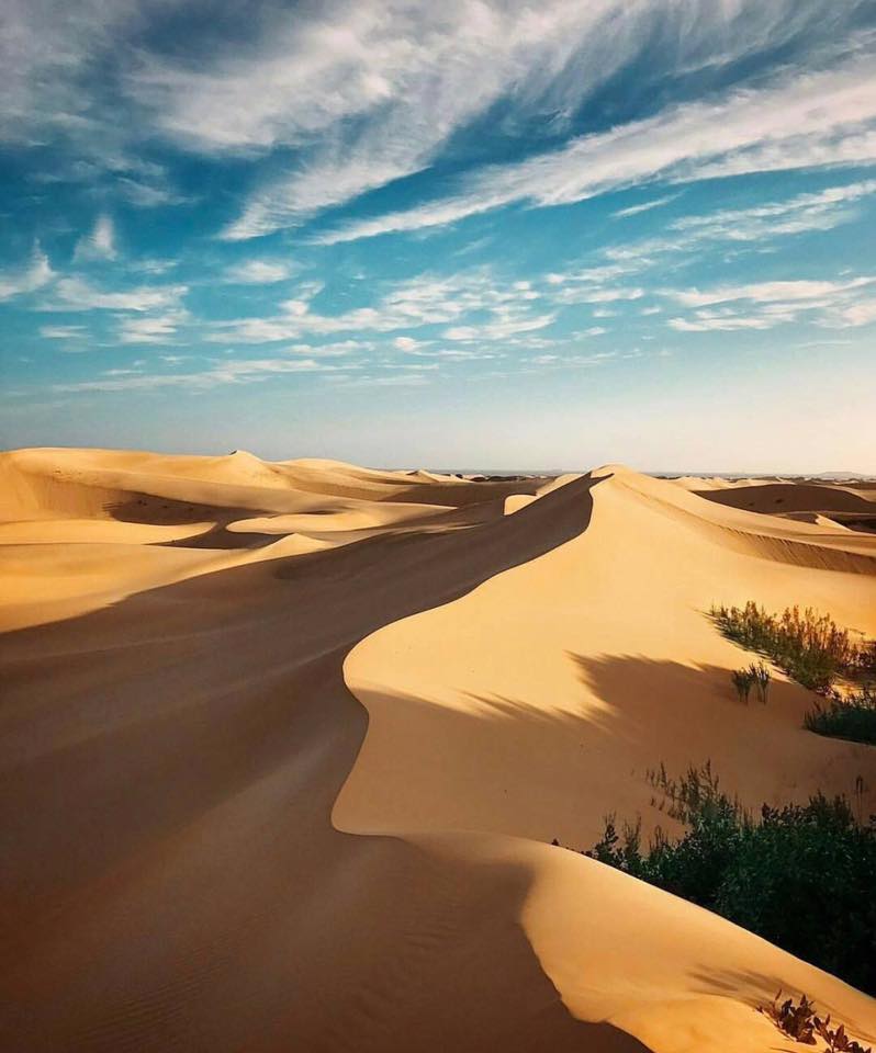 Temps maussade sur la France... Nous vous envoyons un peu de soleil du Kalahari ! :-) #wowsouthafrica #Voyage #soleil Photo d'Ofentse Mwase