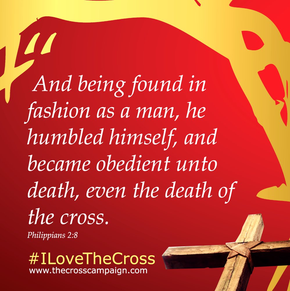 C R O S S    C A M P A I G N tweet media