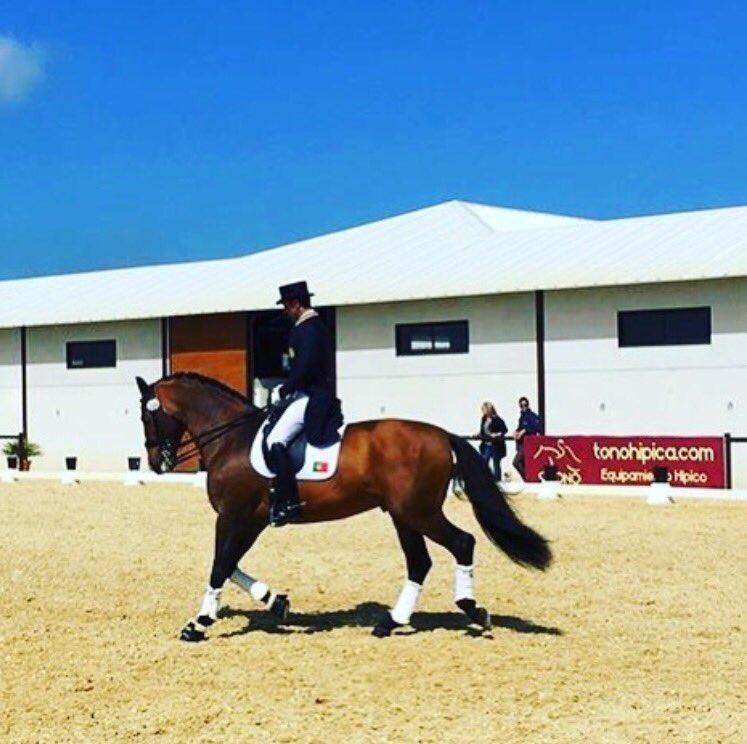 Presentes en Centro Hipico Los Albardones en Medina Sidonia en el CDI*** donde realizamos la pista interior #tonohipica®