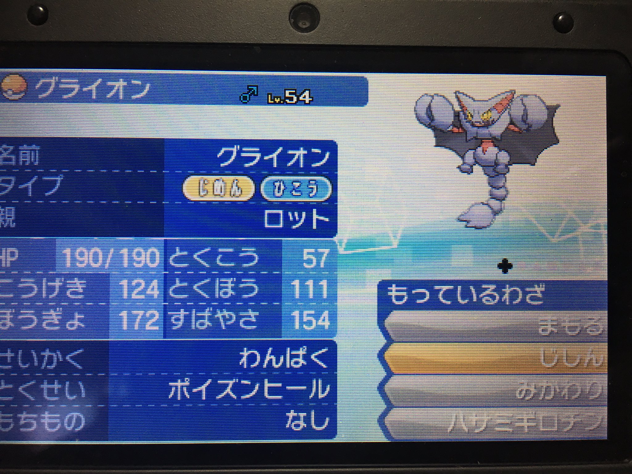 紳士なヒメグマ 5uvxvkd2c5fvw3q Twitter