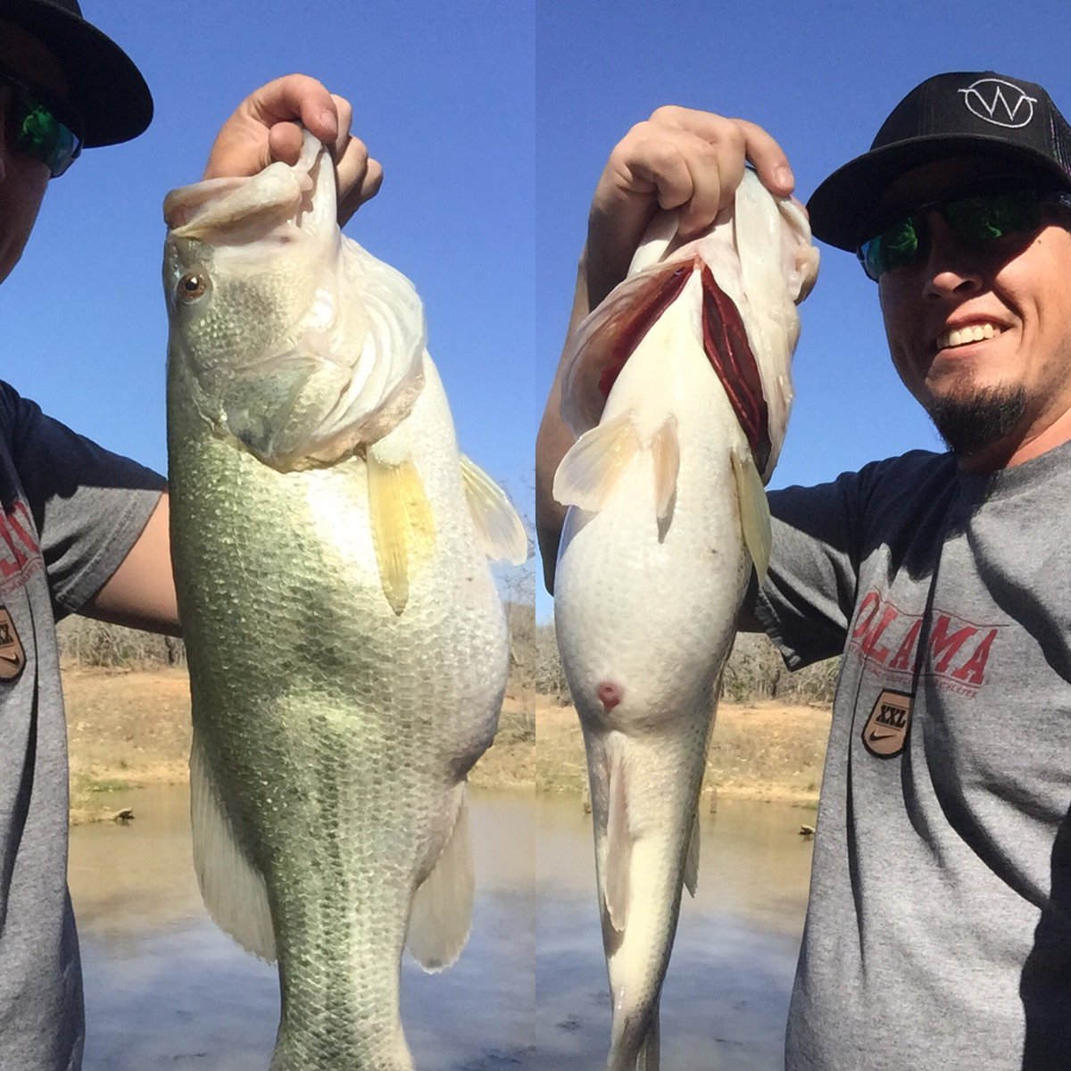 PhillWar's tweet photo. Yesterdays catch, I think this pond is still pre spawn. #6pounder @FishinWithFlair @FishingTheMW @LunkersTV https://t.co/yH3sOhLWcv