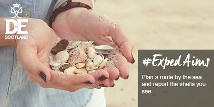 Plan a route by the sea and report the shells you see to the national seashell survey #ExpedAims ow.ly/3CZL309i2ao