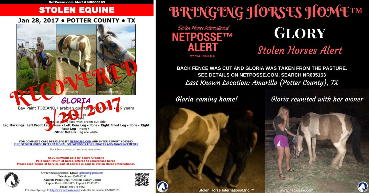netposse's tweet photo. @NewsChannel10 GLORY IS HOME! Details: https://t.co/M9xc9uSSBJ #NetPosse™ #WeDidItAgain #FindingGlory #foundandloved #anotherchapterclosed https://t.co/WY1k2vXsTM
